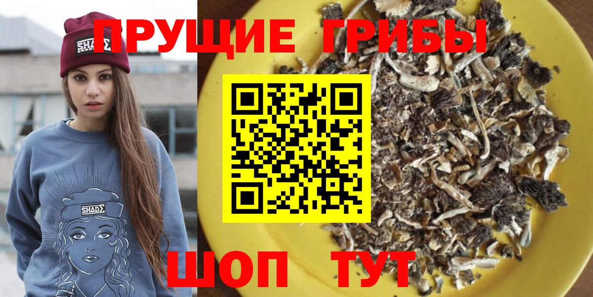 Псилоцибиновые грибы Cubensis  Псилоцибиновые грибы Psilocybine cubensis  Вход с VPN  Крымск 