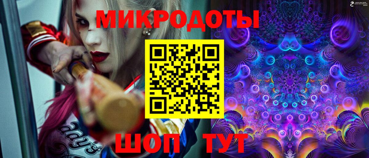 Галлюциногенные грибы Psilocybe Крымск